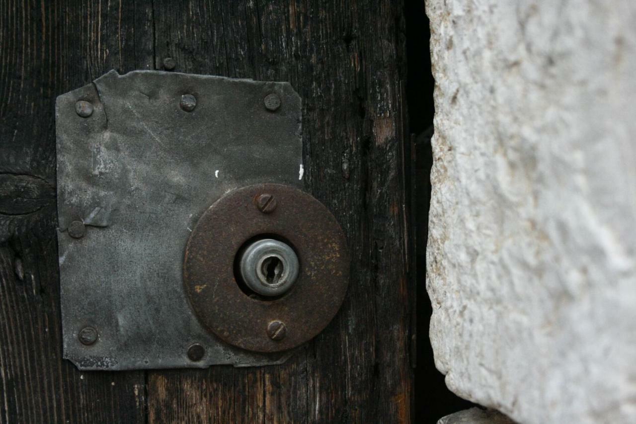 La Maison Aux Bonsais Saint-Paul-de-Vence Ngoại thất bức ảnh