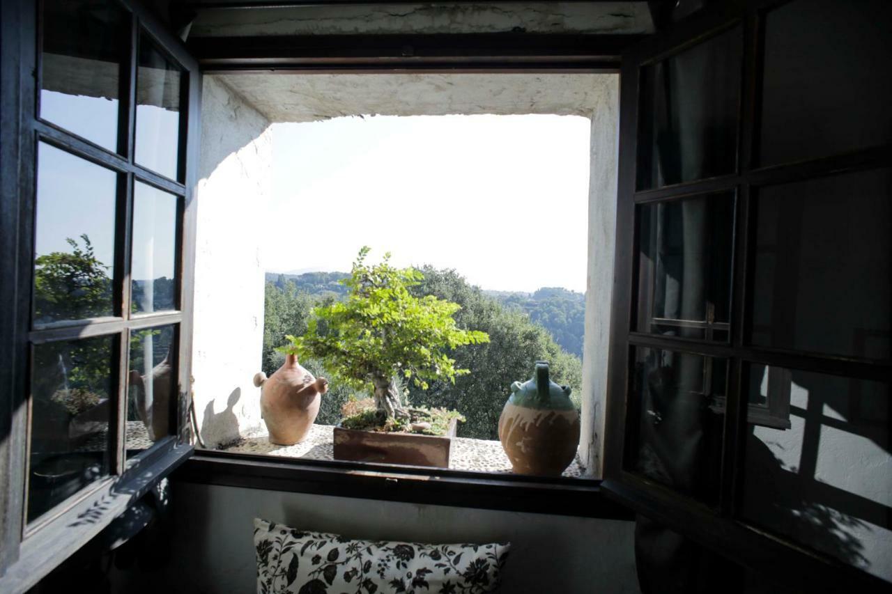 La Maison Aux Bonsais Saint-Paul-de-Vence Ngoại thất bức ảnh